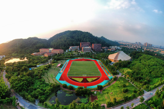 大学运动场