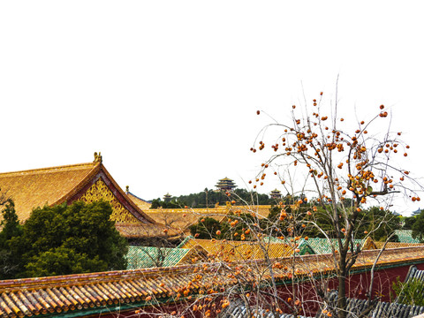 北京故宮博物院東路建筑群
