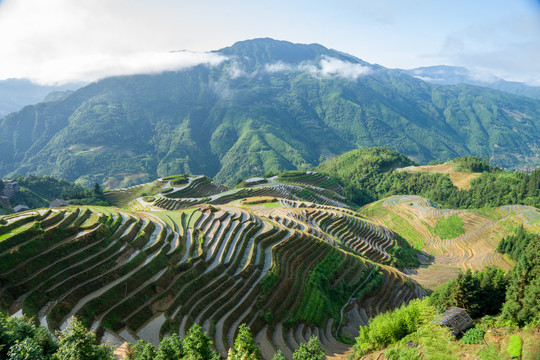 龙脊梯田