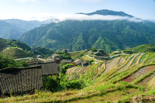 龙脊梯田