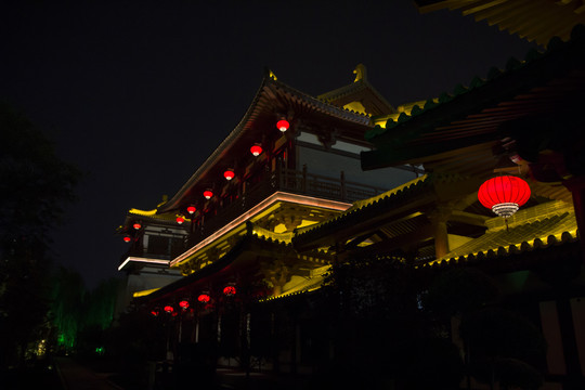 上阳宫夜景