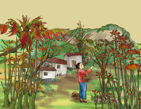 香椿芽插畫