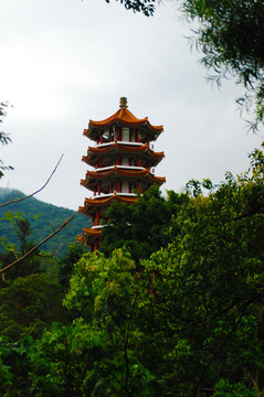 深圳仙湖植物园