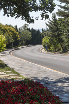 带木栈道的路