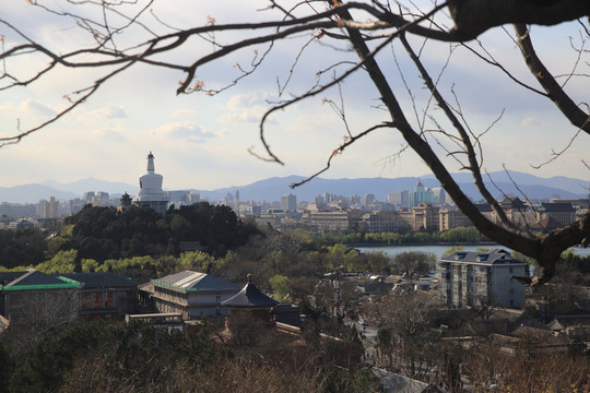 北海公園白塔