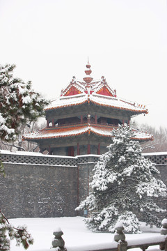 北陵初雪