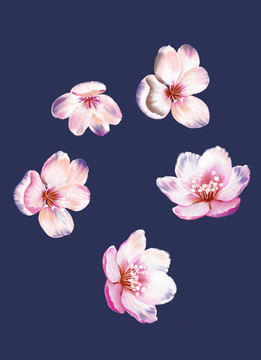 手繪桃花