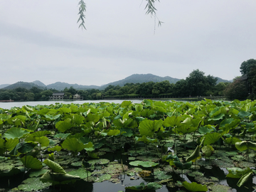 杭州西湖