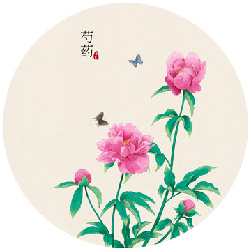 芍藥