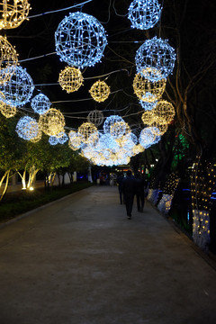 大观公园夜景