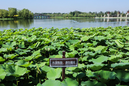 夏至小暑