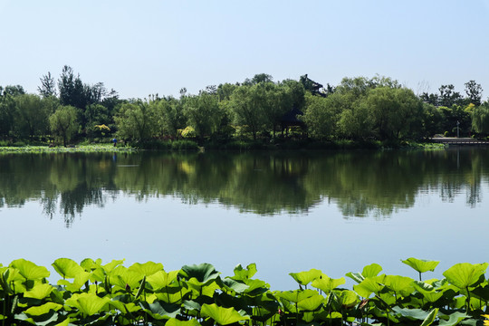 夏至小暑