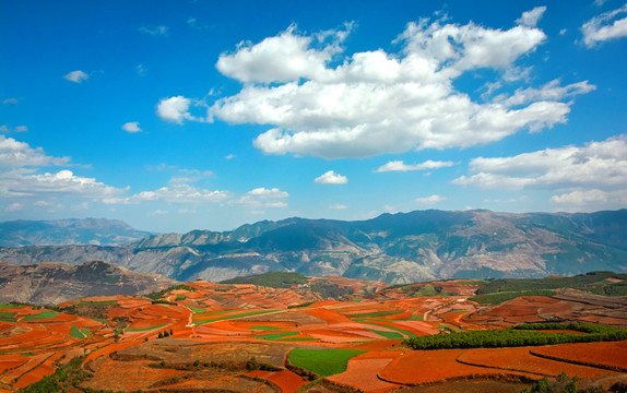 东川红土地