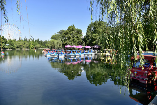 水上樂園