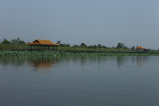 阳澄湖风光