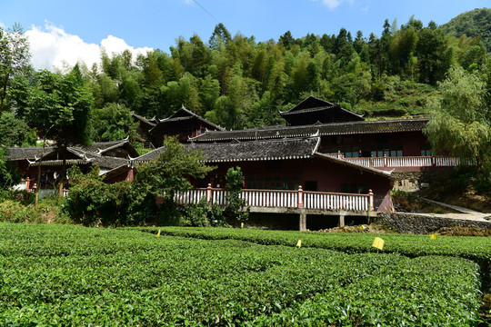 特色建筑土家吊脚楼