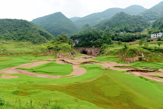 牧场草原绿色草甸草地