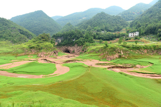 牧场草原绿色草甸草地