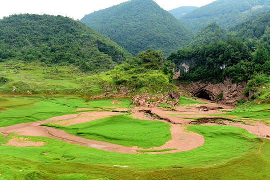 牧场草原绿色草甸草地