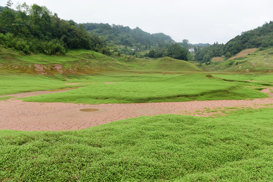 草原牧场