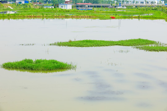 水产养殖基地