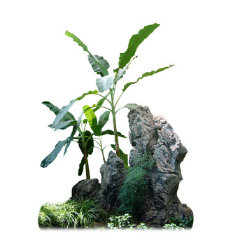 景觀石