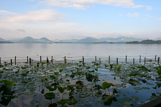 西湖风景