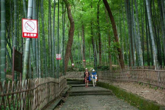 杭州宝石山的栖霞古道