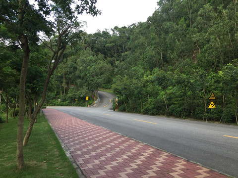 圭峰山景区道路