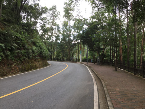 圭峰山景区道路