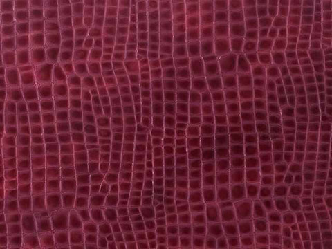 高清橘紅色鱷魚皮皮紋貼圖