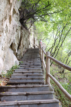 秦岭风光