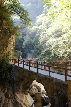 秦岭风光