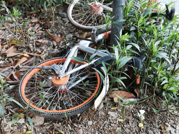 倒入花丛中的摩拜共享单车