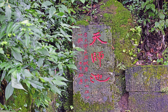 青城山天师池