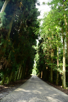 山林山区