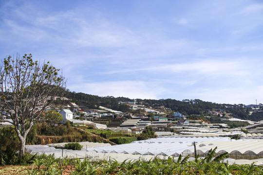 越南铁路沿线风光