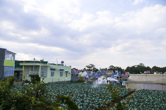 越南铁路沿线风光