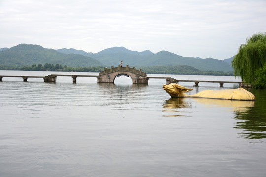 金牛出水