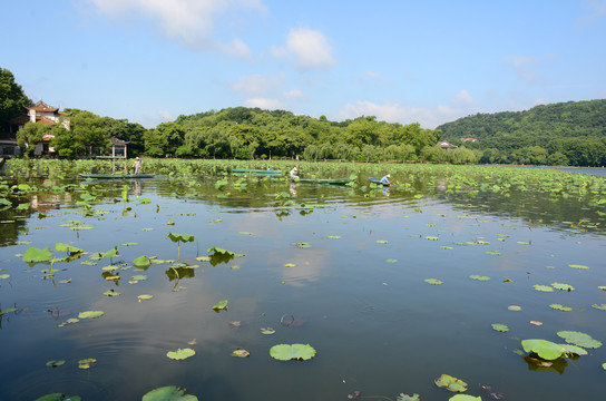 西湖风光