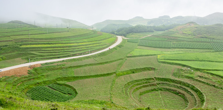 绿色土地