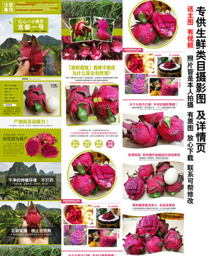 火龍果小果
