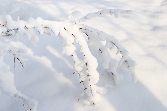 白雪皑皑