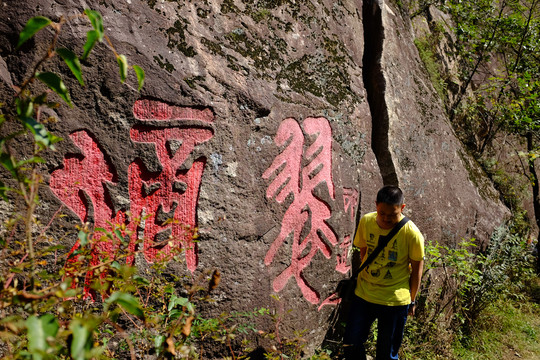 秦岭风光