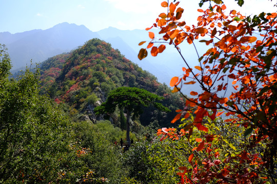 秦岭风光