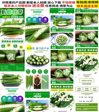 秋葵詳情