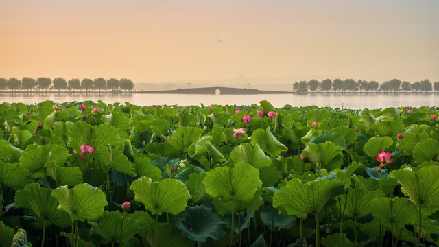 西湖白堤