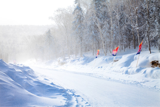 黑龙江省双峰林场雪乡