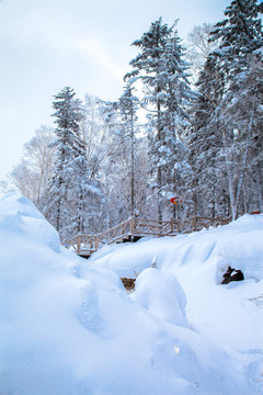 黑龙江省双峰林场雪乡