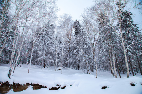 黑龙江省双峰林场雪乡